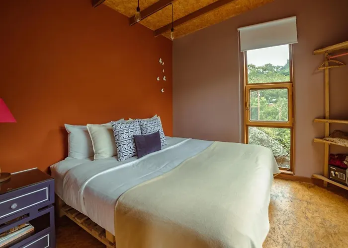 La Palma y El Tucan Coffee&Adventure Hotel