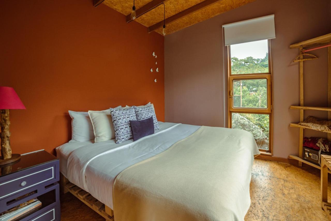 Hotel La Palma Y El Tucan Coffee&adventure Zipacon