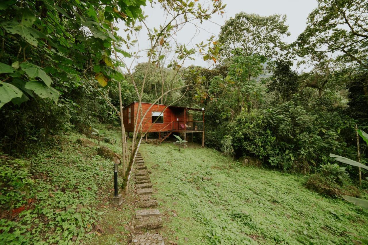 Hotel La Palma Y El Tucan Coffee&adventure 4*