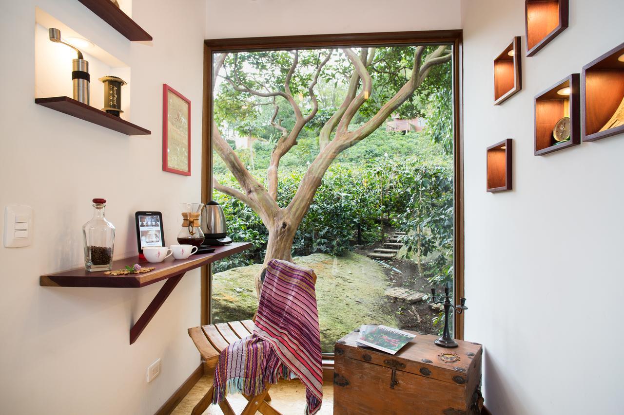 Hotel La Palma Y El Tucan Coffee&adventure 4*