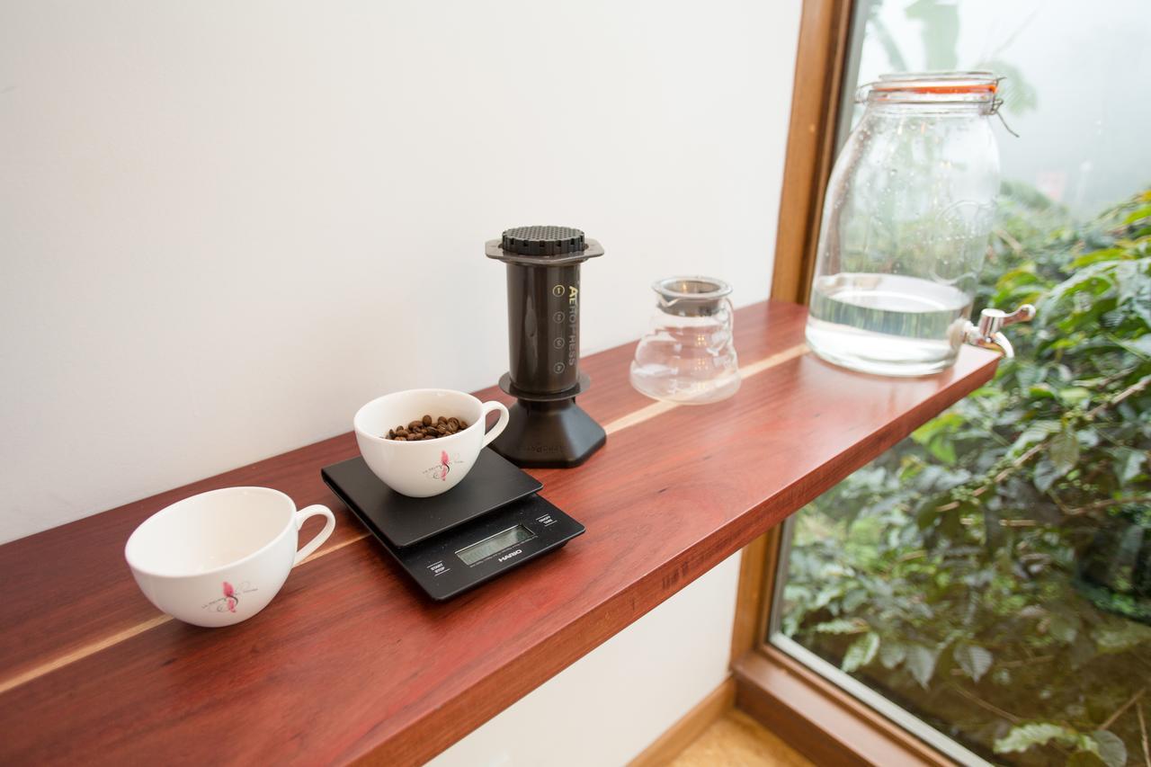 Hotel La Palma Y El Tucan Coffee&adventure 4*