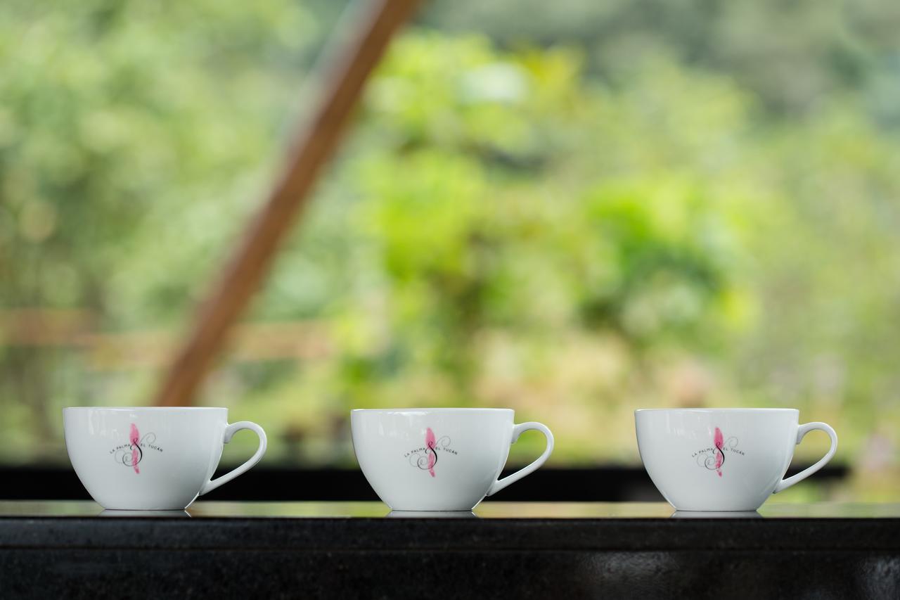 Hotel La Palma Y El Tucan Coffee&adventure 4*