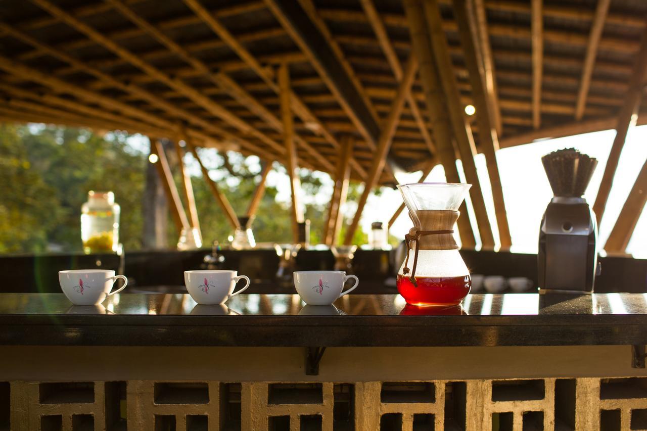 La Palma Y El Tucan Coffee&adventure 4* Zipacon
