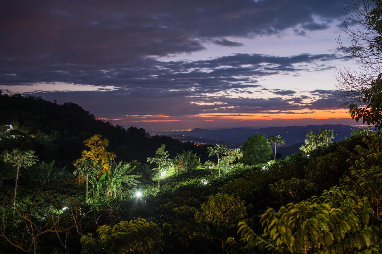 La Palma Y El Tucan Coffee&adventure 4* Zipacon