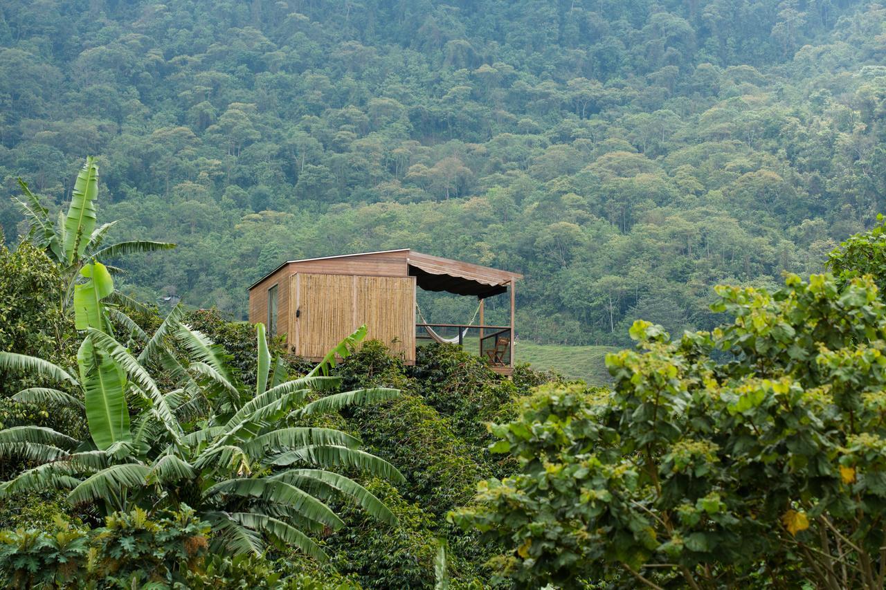 Hotel La Palma Y El Tucan Coffee&adventure 4*