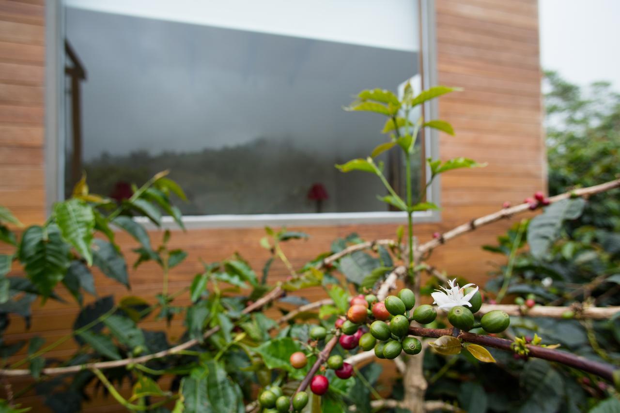 Hotel La Palma Y El Tucan Coffee&adventure 4*