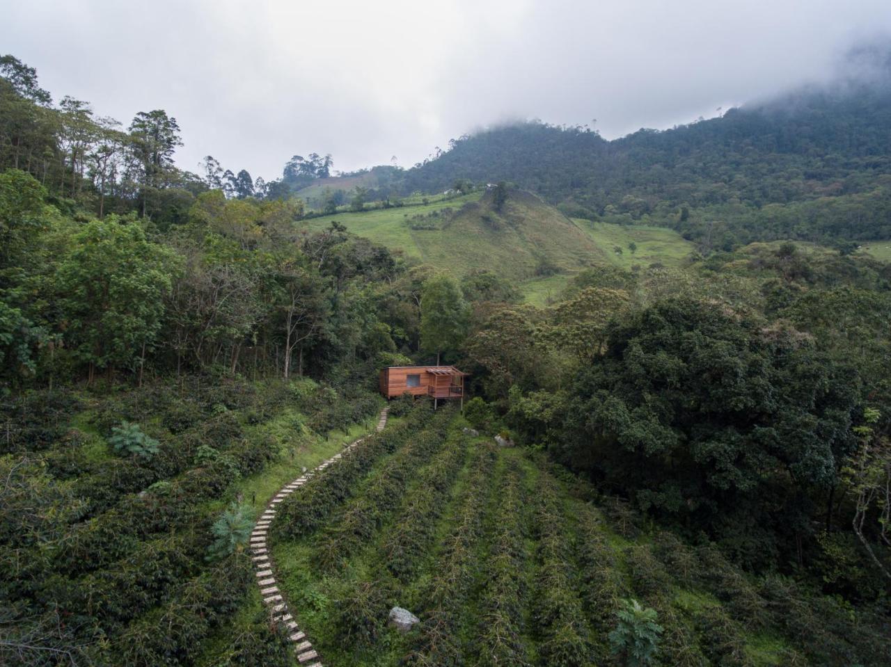 Hotel La Palma Y El Tucan Coffee&adventure 4*