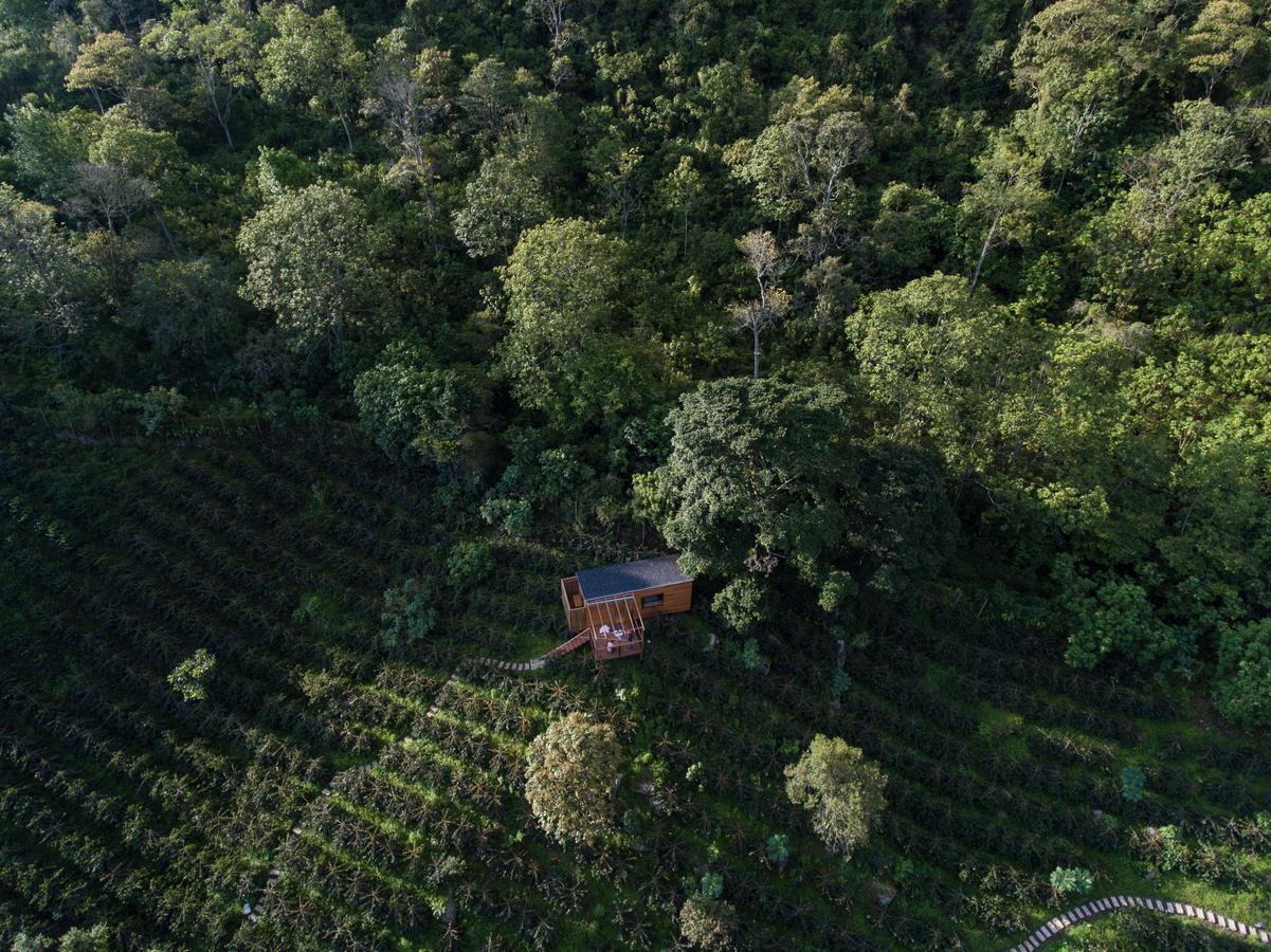 La Palma Y El Tucan Coffee&adventure 4* Zipacon